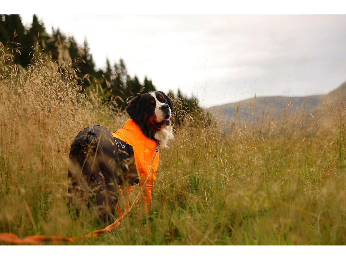 Non-stop dogwear Protector suit heldress hannhund – Oransje/svart