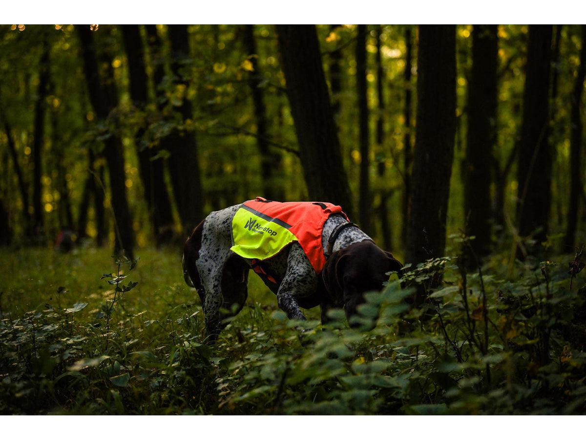 Non-stop dogwear Protector vest 2.0 beskyttelsesvest – Oransje