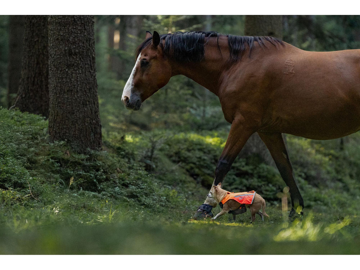 Non-stop dogwear Protector vest 2.0 beskyttelsesvest – Oransje