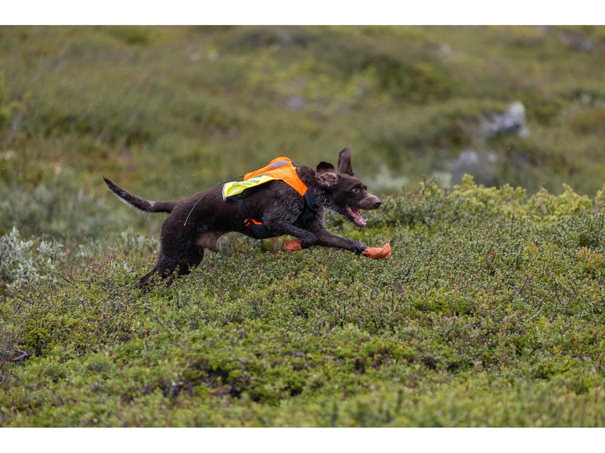 Non-stop dogwear Protector vest GPS 2.0 beskyttelsesvest – Oransje