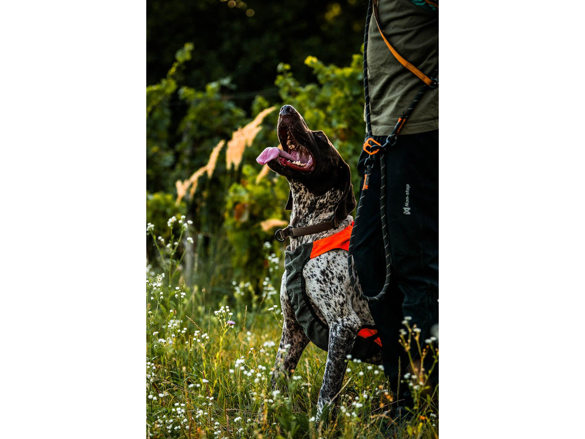 Non-stop dogwear Protector vest GPS 2.0 beskyttelsesvest – Oransje