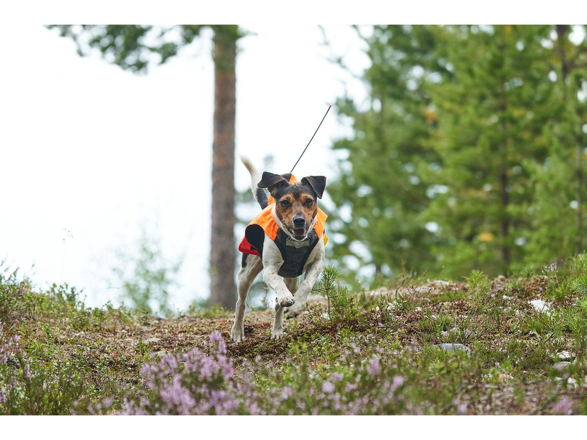 Non-stop dogwear Protector vest GPS jaktdekken – Oransje