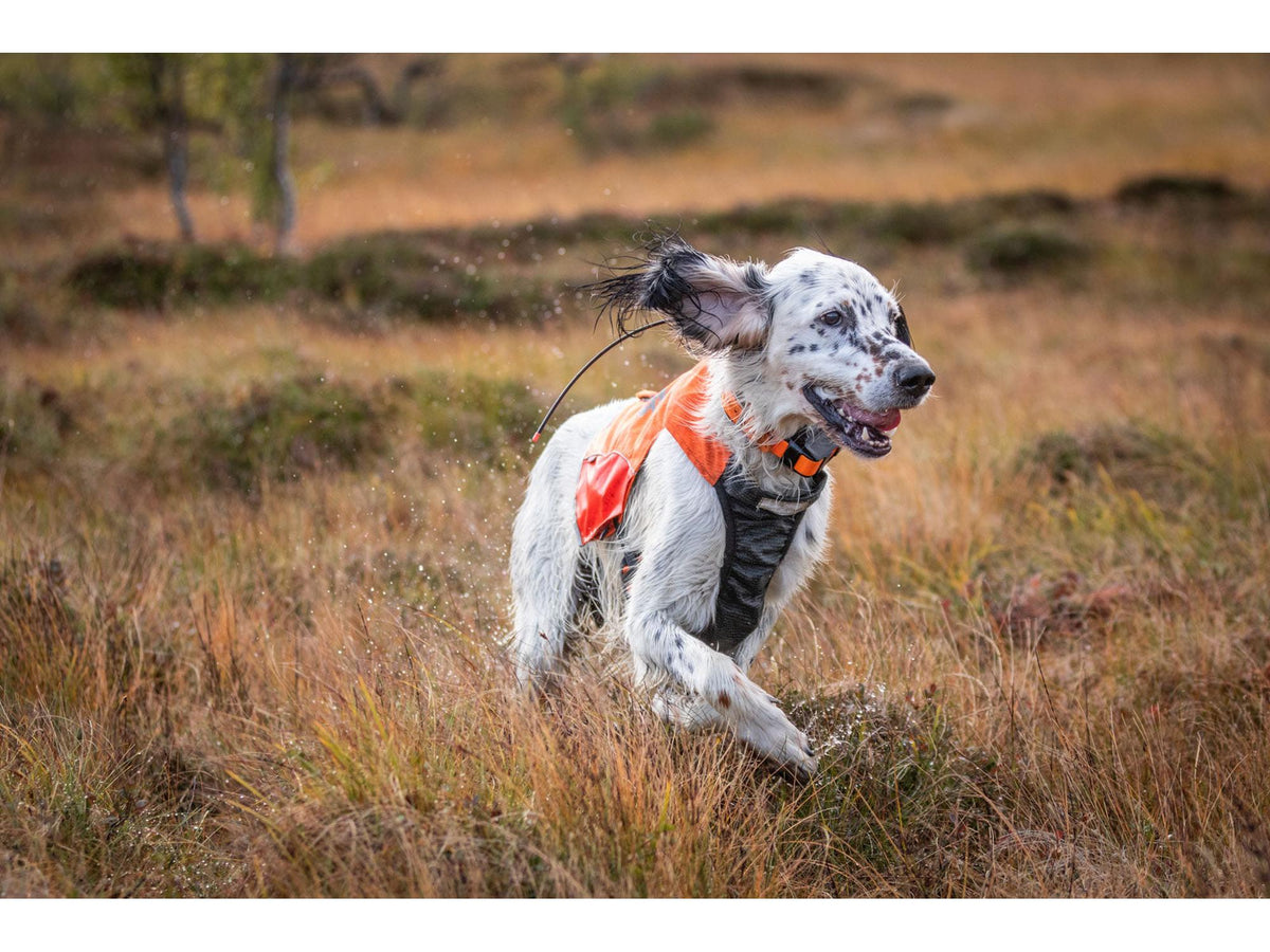 Non-stop dogwear Protector vest jaktdekken – Oransje