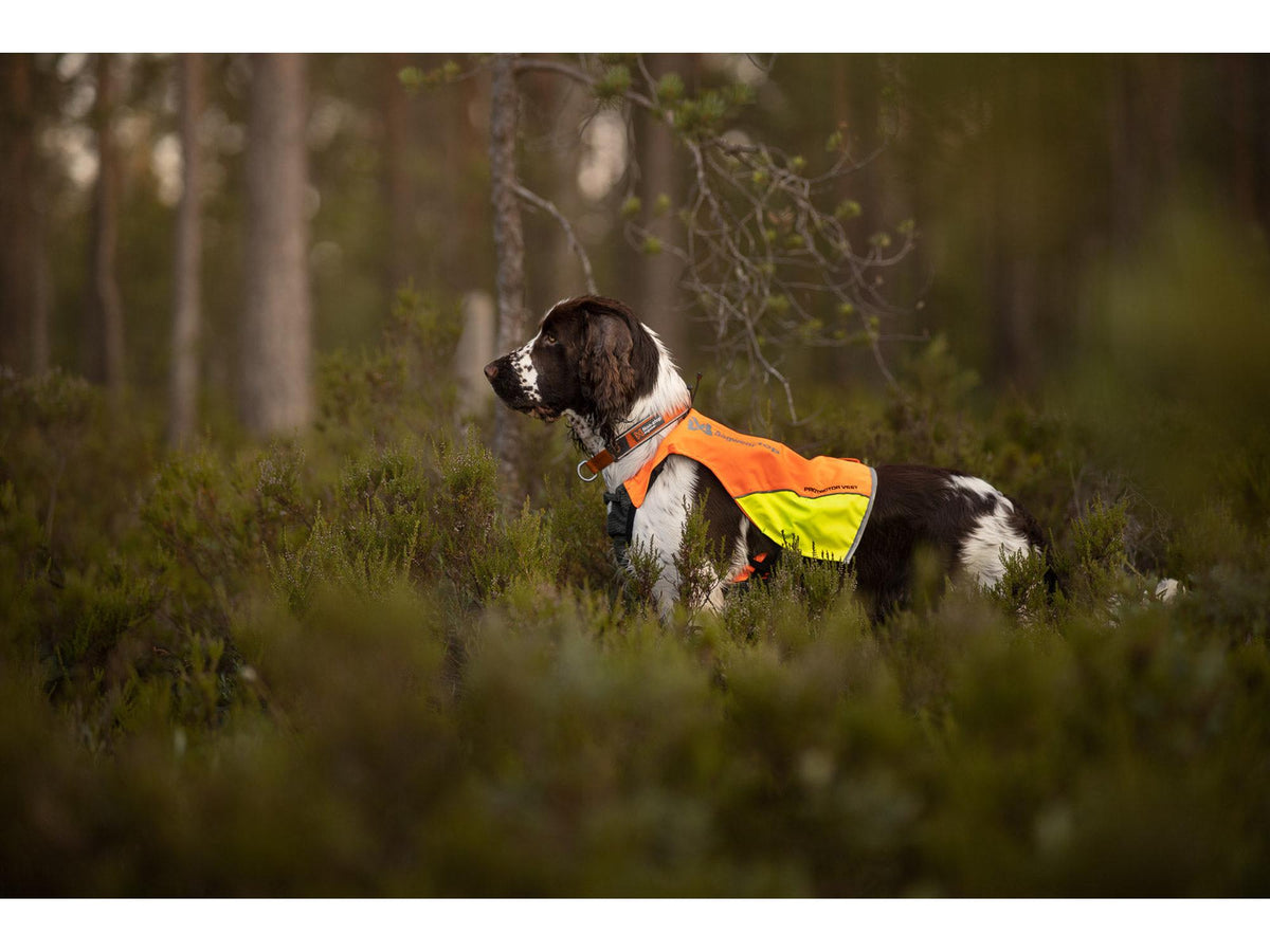 Non-stop dogwear Protector vest jaktdekken – Oransje