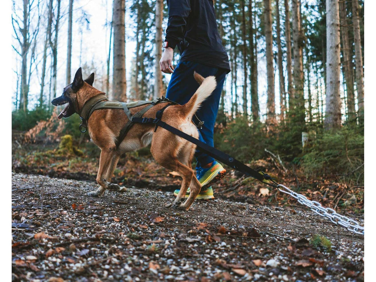 Non-stop dogwear Pulling attachment WD trekktilbehør – Svart