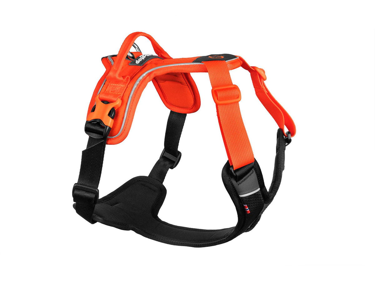 Non-stop dogwear Ramble harness tursele – Svart/oransje