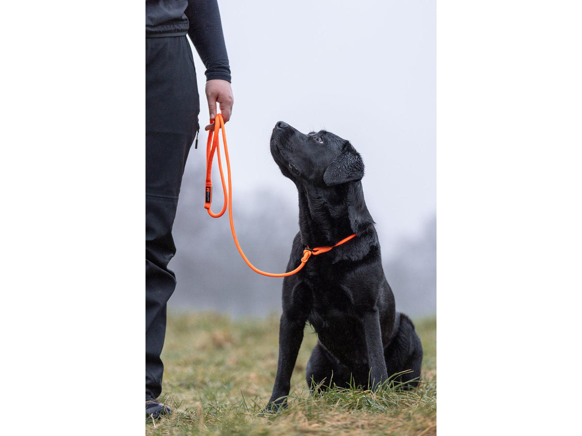 Non-stop dogwear Retriever leash retrieverbånd – Oransje