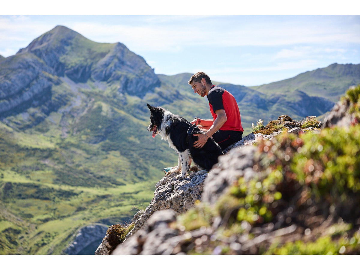 Non-stop dogwear Rock harness tursele – Svart/oransje