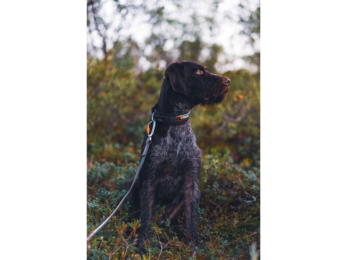 Non-stop dogwear Rock adjustable collar halsbånd – Svart/oransje