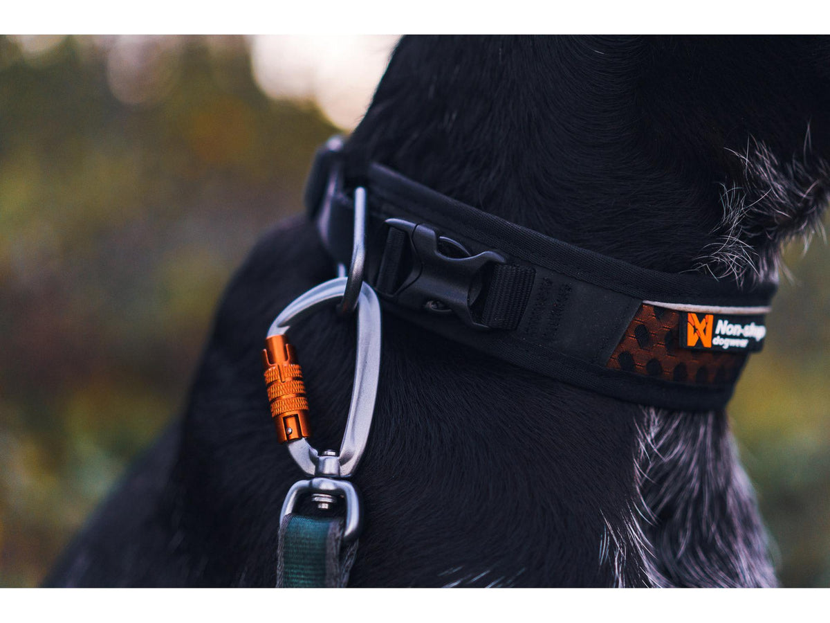 Non-stop dogwear Rock adjustable collar halsbånd – Svart/oransje