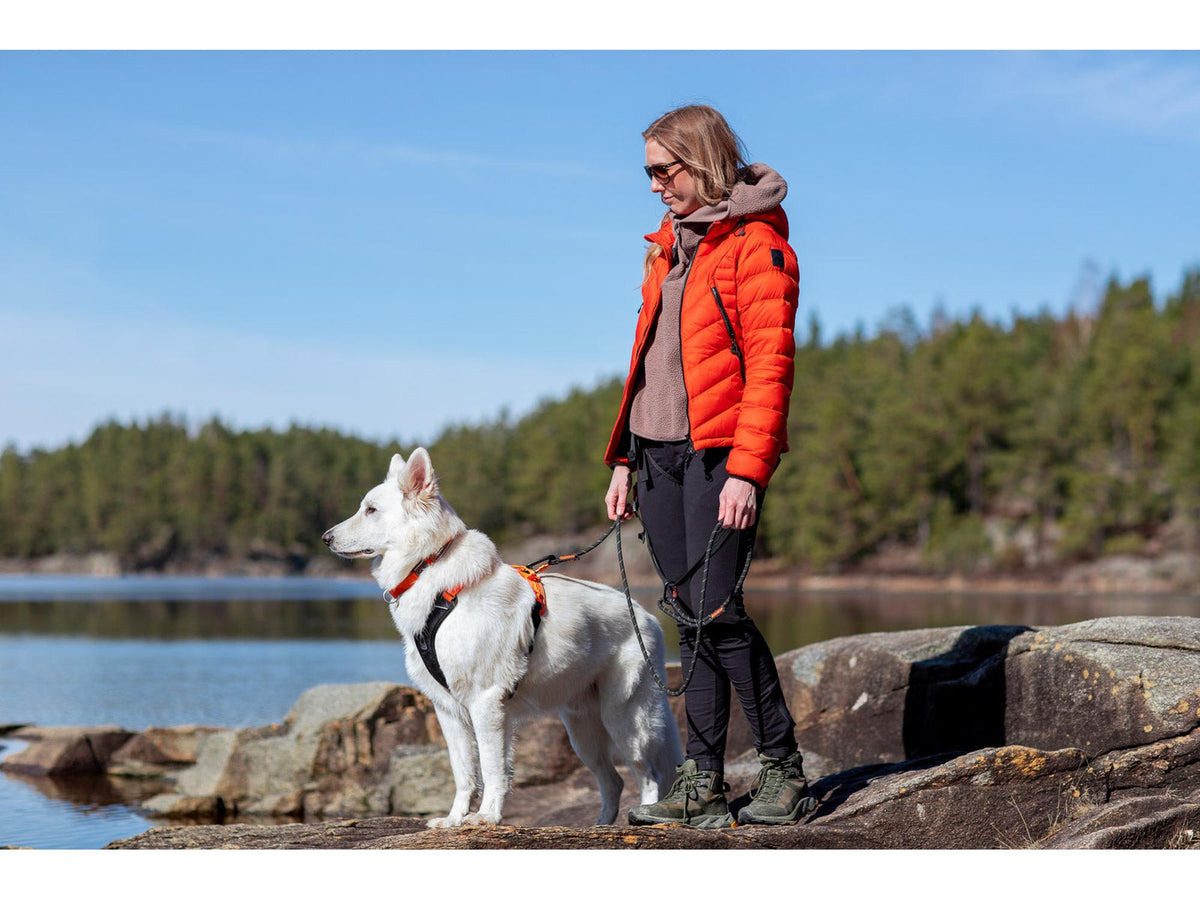 Non-stop dogwear Rock leash tau-leiebånd – Svart