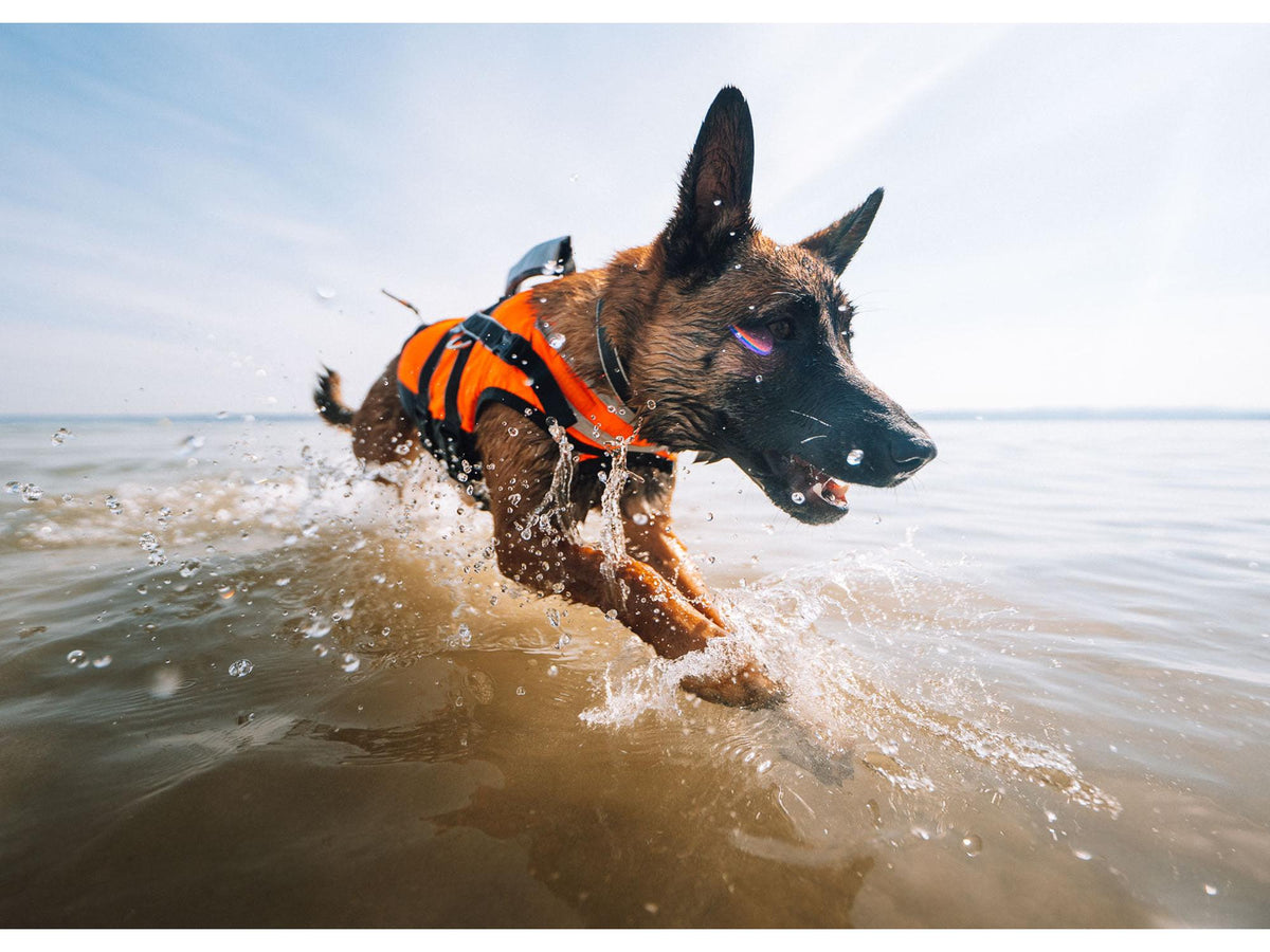 Non-stop dogwear Safe life jacket 2.0 flytevest – Oransje