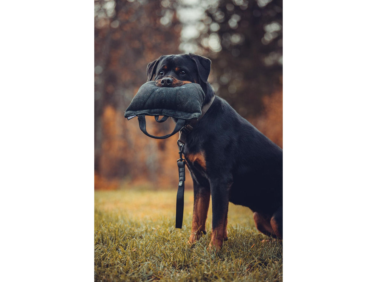 Non-stop dogwear Security strap WD kort håndtak – Svart