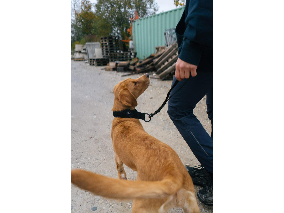 Non-stop dogwear Security strap WD kort håndtak – Svart