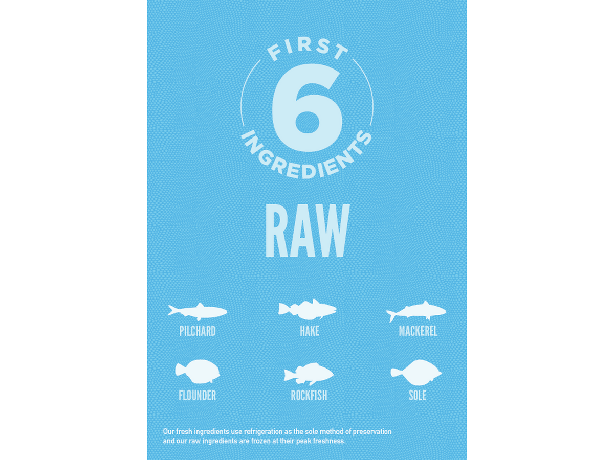 Orijen Six Fish Cat