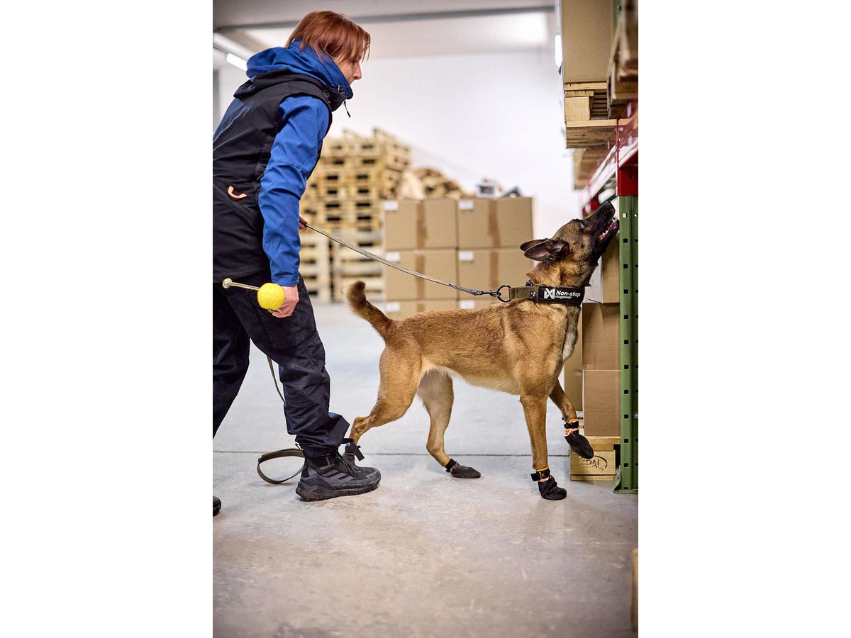 Non-stop dogwear Solid collar WD halvstruphalsbånd – Svart – modellen vist i annen farge