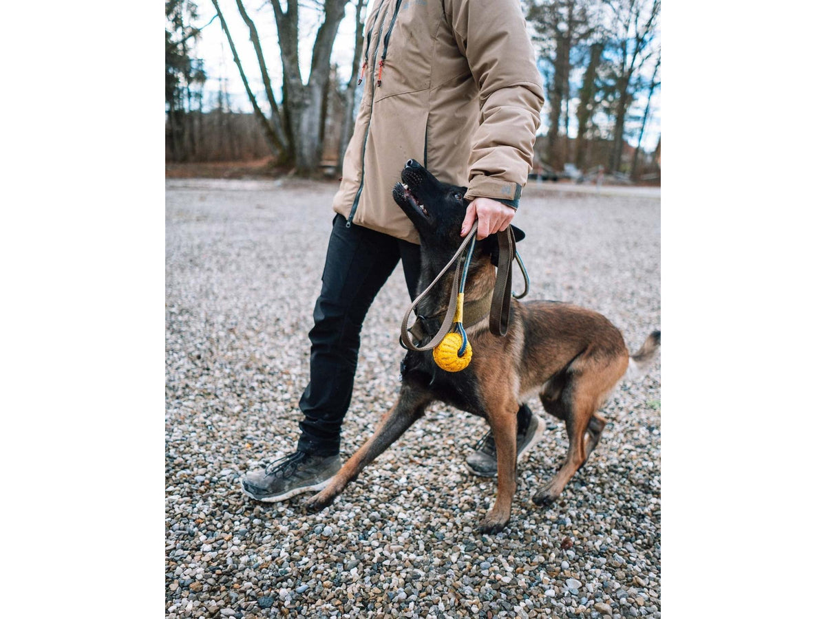 Non-stop dogwear Solid leash WD leiebånd – Oliven