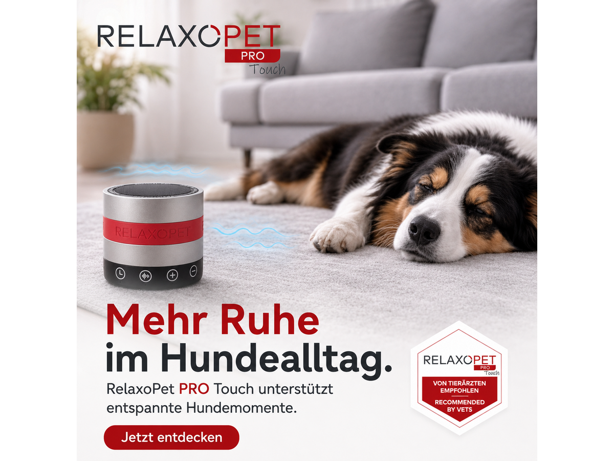 RelaxoPet PRO Dog Touch – beroligende lydenhet for hund med app