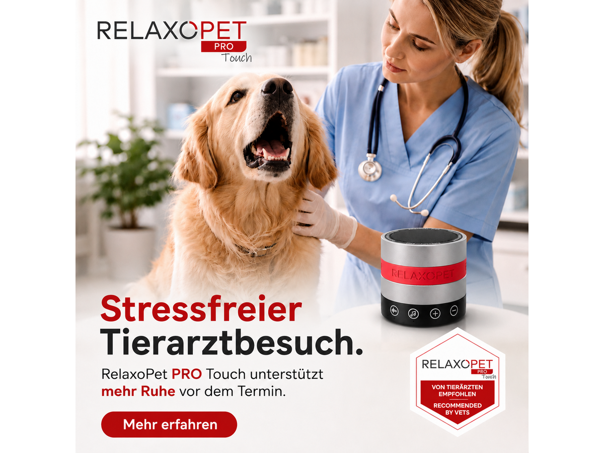 RelaxoPet PRO Dog Touch – beroligende lydenhet for hund med app