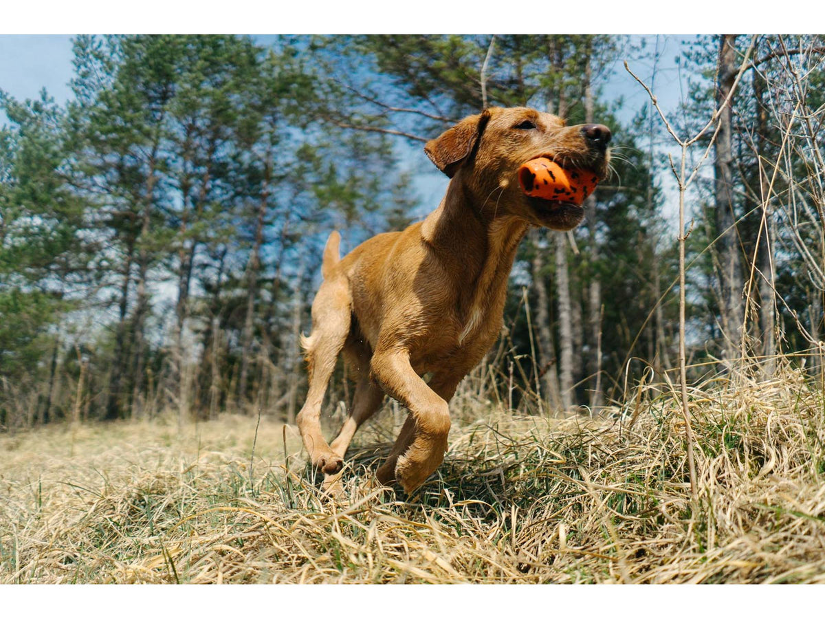 Non-stop dogwear Dog throw toy kasteleke – Oransje/svart