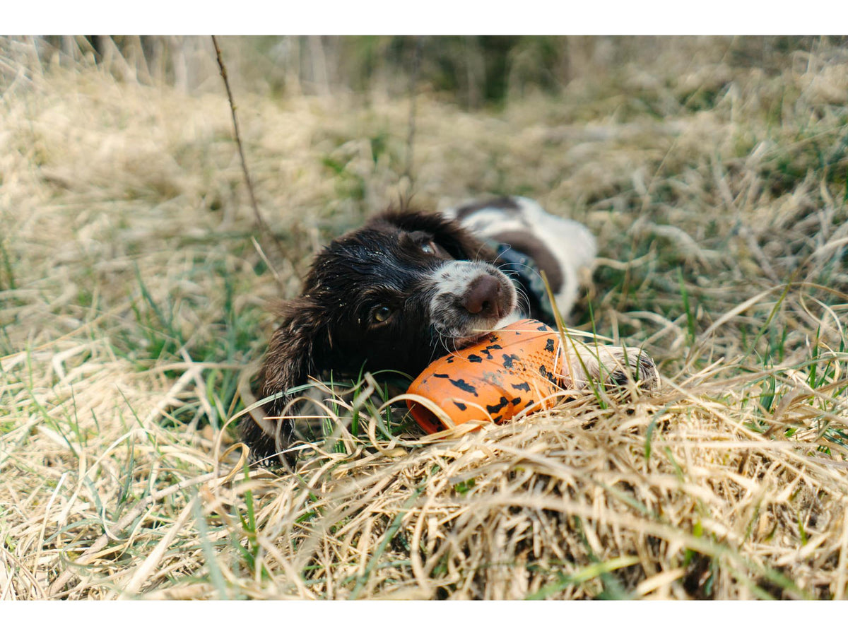 Non-stop dogwear Dog throw toy kasteleke – Oransje/svart