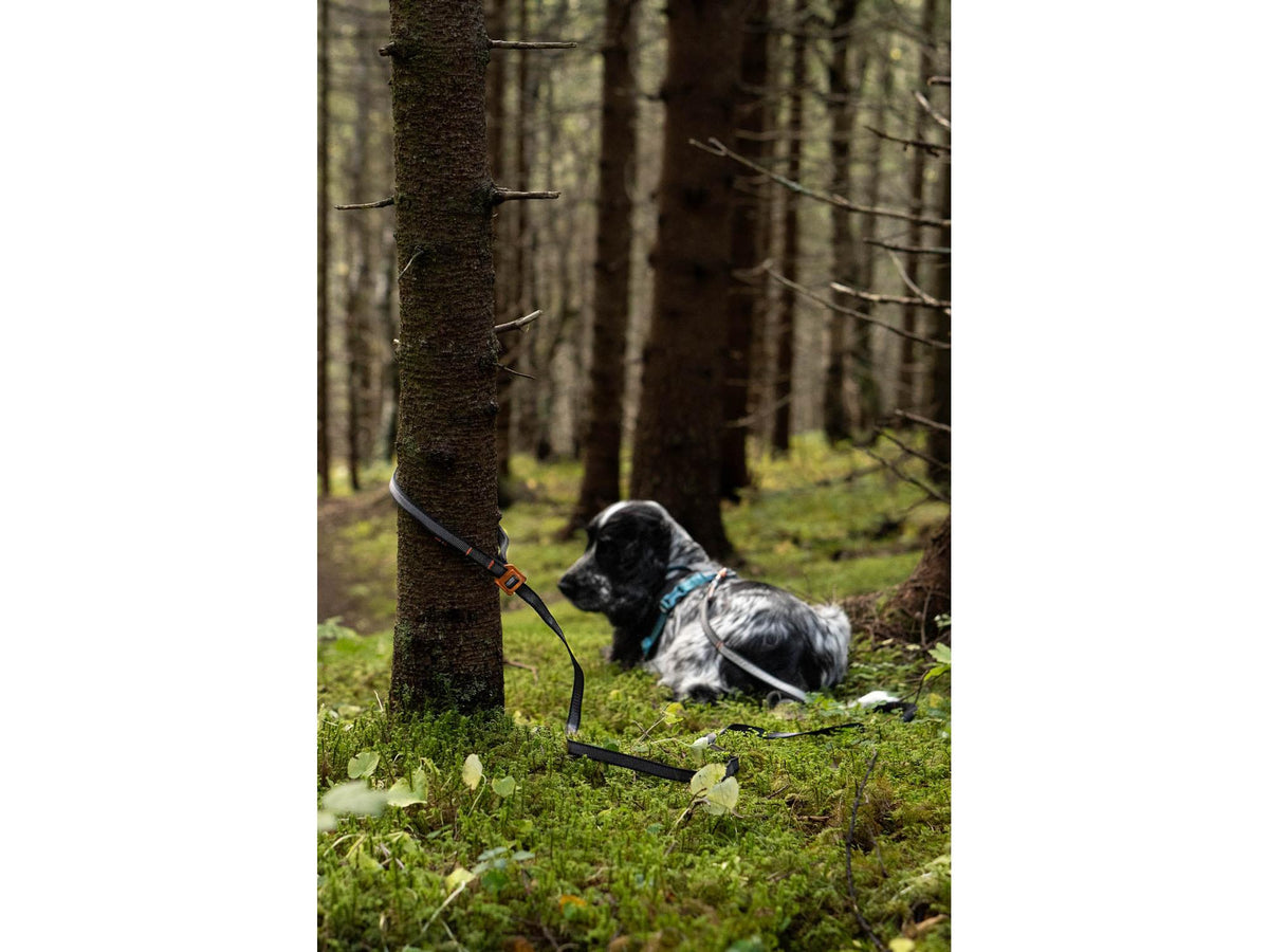 Non-stop dogwear Touring bungee adjustable justerbart strikkbånd – Svart/grå