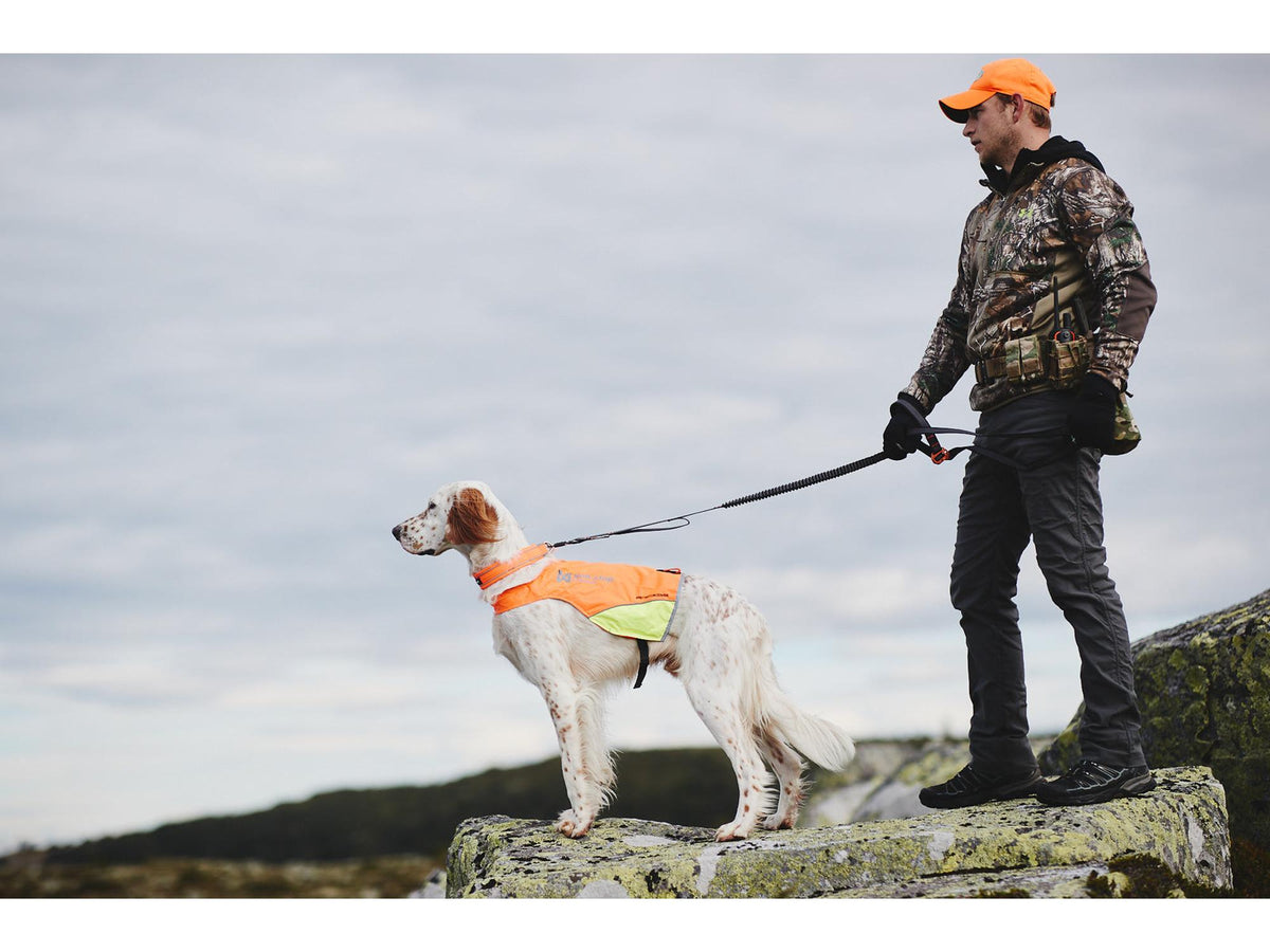 Non-stop dogwear Touring bungee adjustable justerbart strikkbånd – Svart/grå