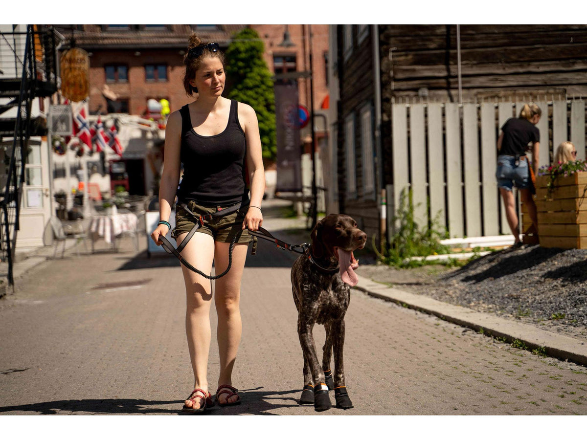Non-stop dogwear Touring bungee adjustable justerbart strikkbånd – Svart/grå