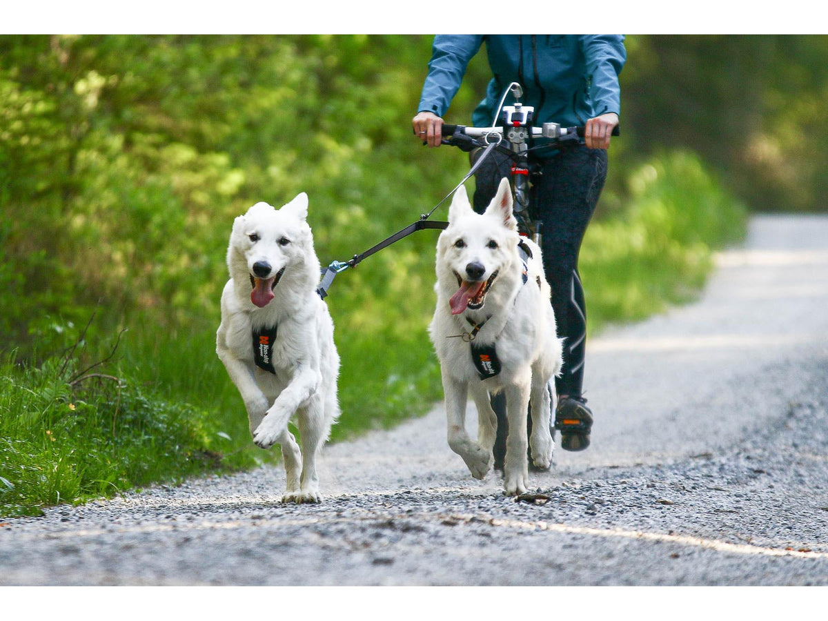 Non-stop dogwear Touring double koblingsbånd for to hunder – Svart/grå