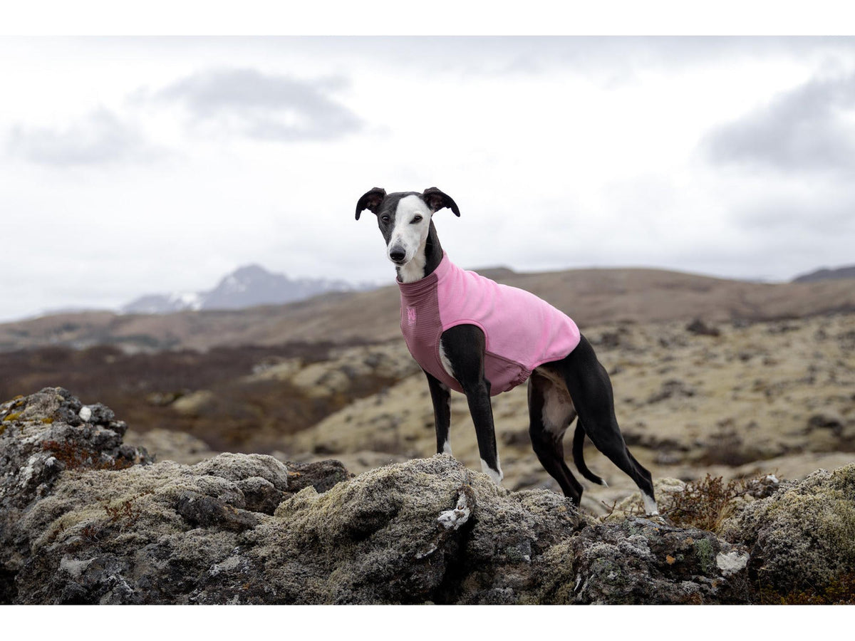 Non-stop dogwear Trail quest fleece pullover fleecegenser – Mauve