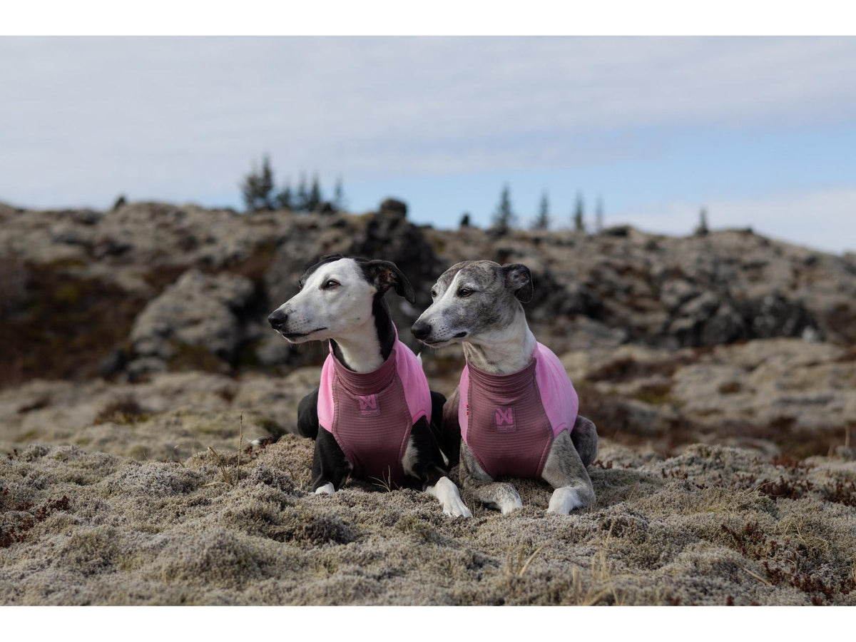Non-stop dogwear Trail quest fleece pullover fleecegenser – Mauve
