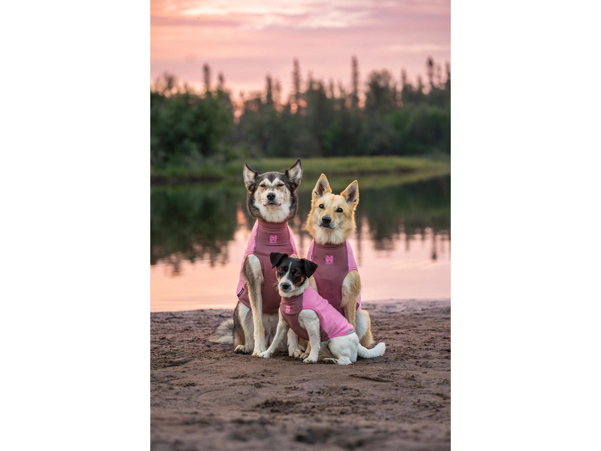 Non-stop dogwear Trail quest fleece pullover fleecegenser – Mauve