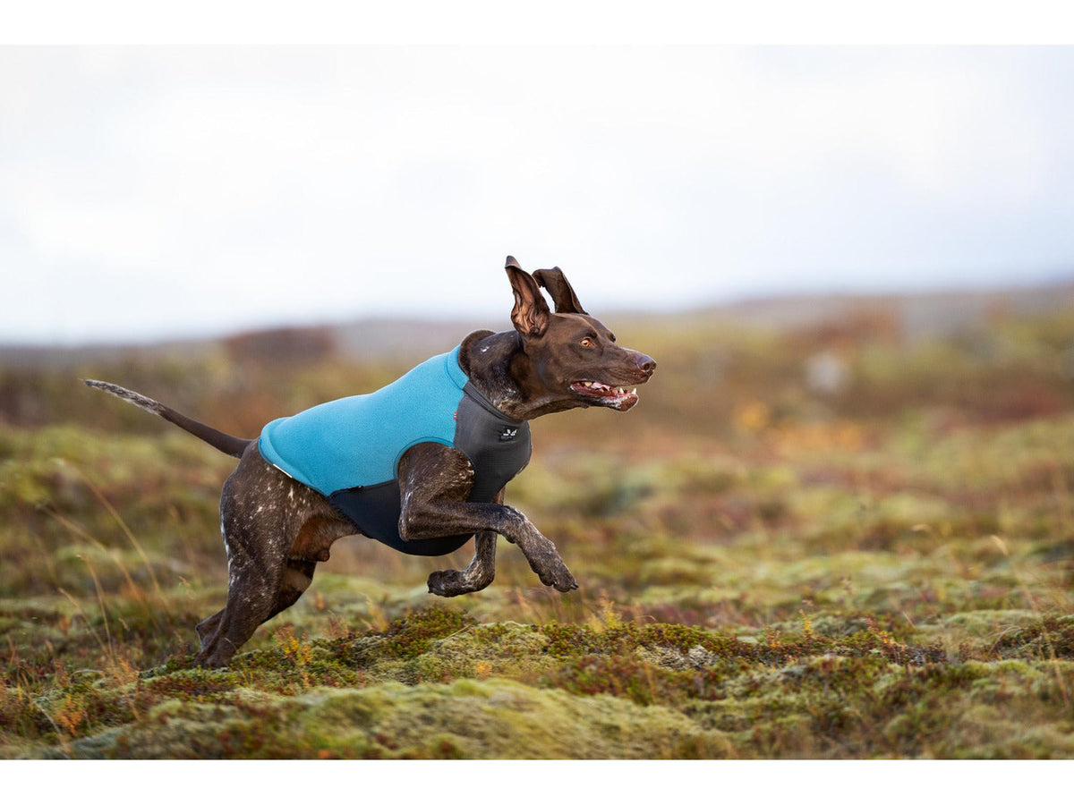 Non-stop dogwear Trail quest fleece pullover fleecegenser – Teal
