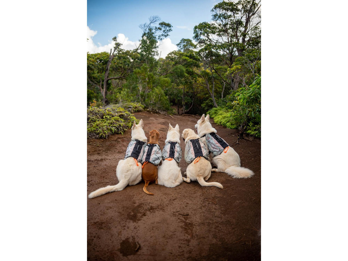 Non-stop dogwear Trail light dog backpack hundesekk – Isgrå