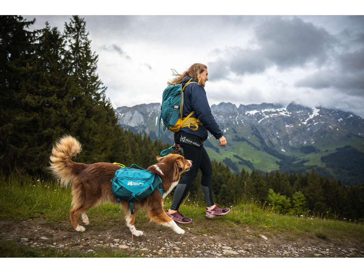 Non-stop dogwear Trail quest dog backpack hundesekk – Mørk teal