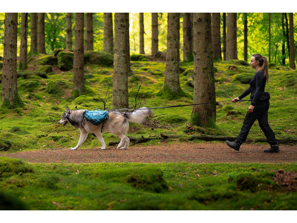 Non-stop dogwear Trail quest dog backpack hundesekk – Mørk teal