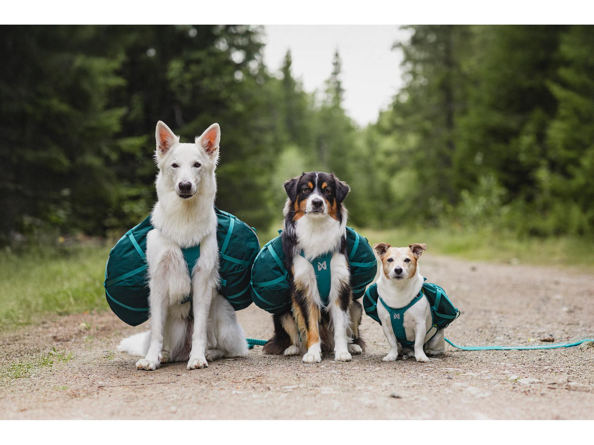 Non-stop dogwear Trail quest dog backpack hundesekk – Mørk teal