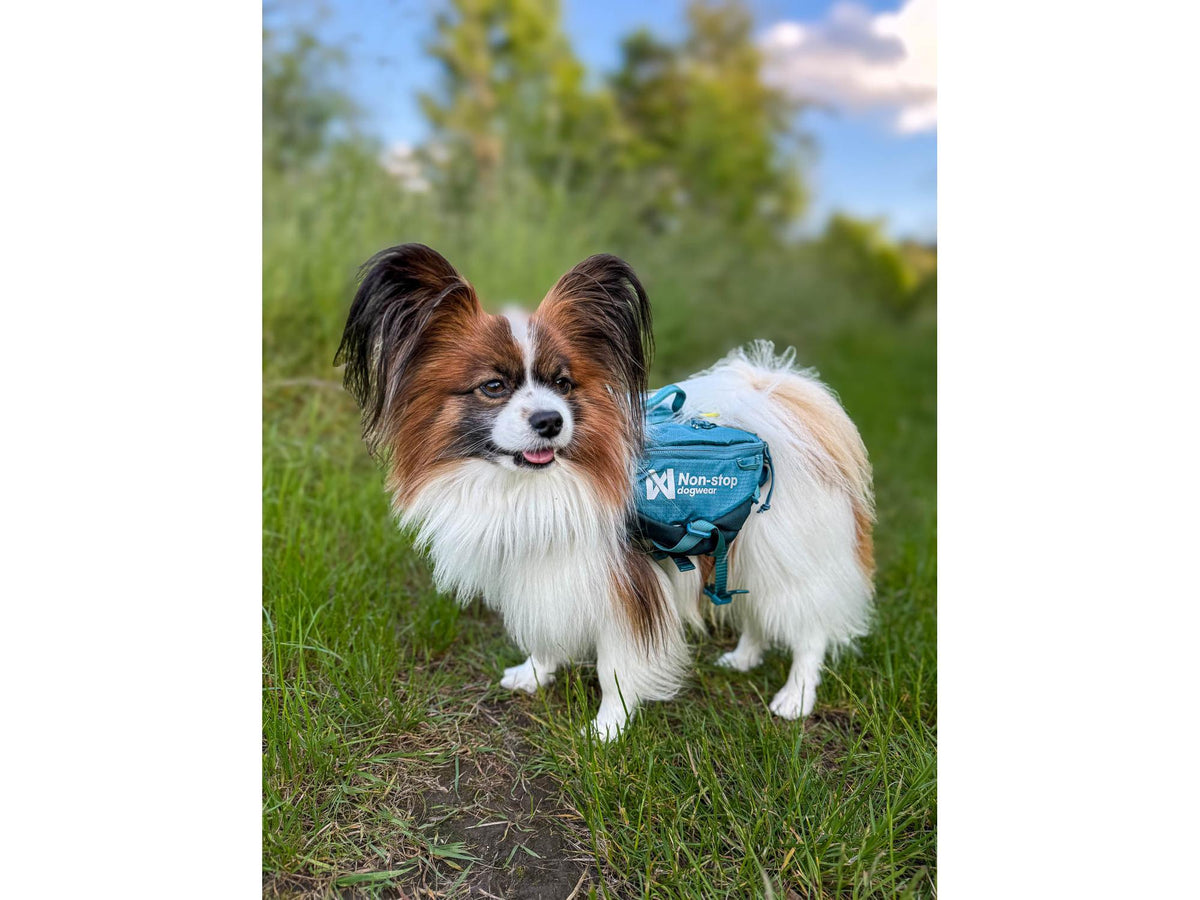 Non-stop dogwear Trail quest dog backpack hundesekk – Mørk teal