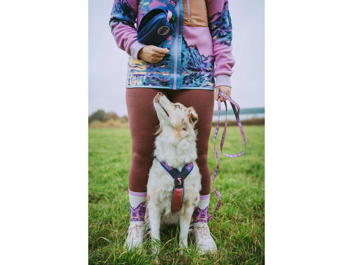 Non-stop dogwear Trail quest leash Rachel Pohl edition leiebånd – Lilla/rosa