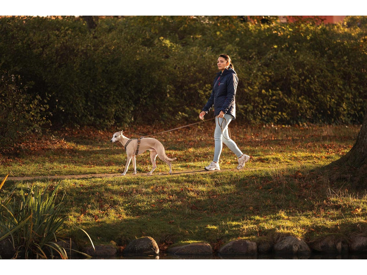 Non-stop dogwear Trail quest leash Rachel Pohl edition leiebånd – Lilla/rosa – modellen vist i annen farge