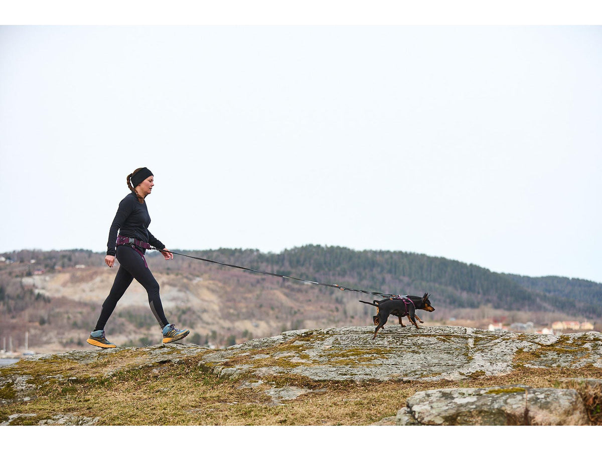 Non-stop dogwear Trekking belt 2.0 trekkbelte – Lilla