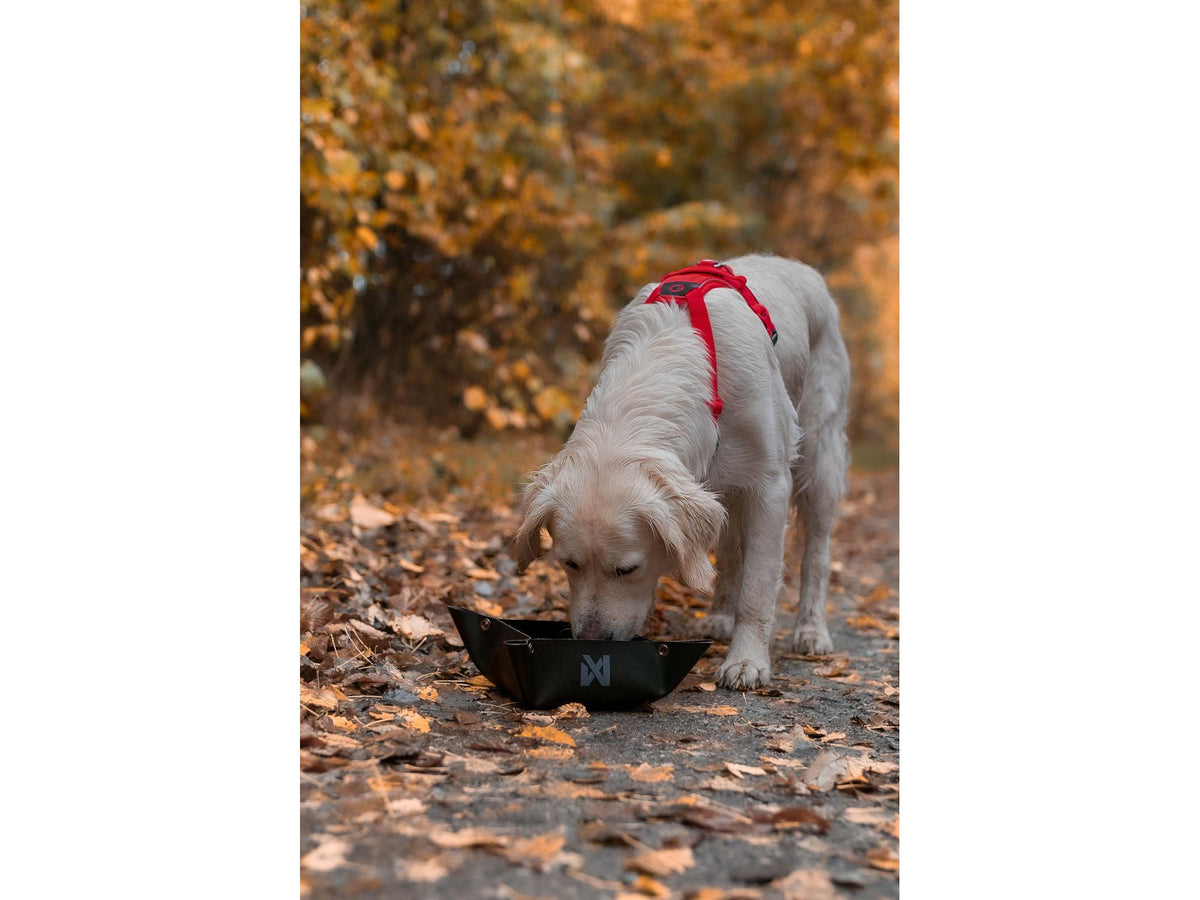 Non-stop dogwear Trekking bowl sammenleggbar turskål – Svart