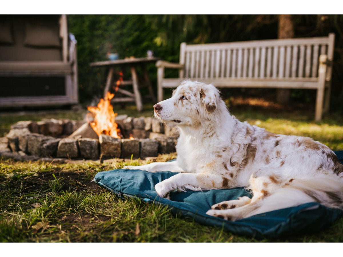 Non-stop dogwear Trekking dog bed campingseng – Mørk teal