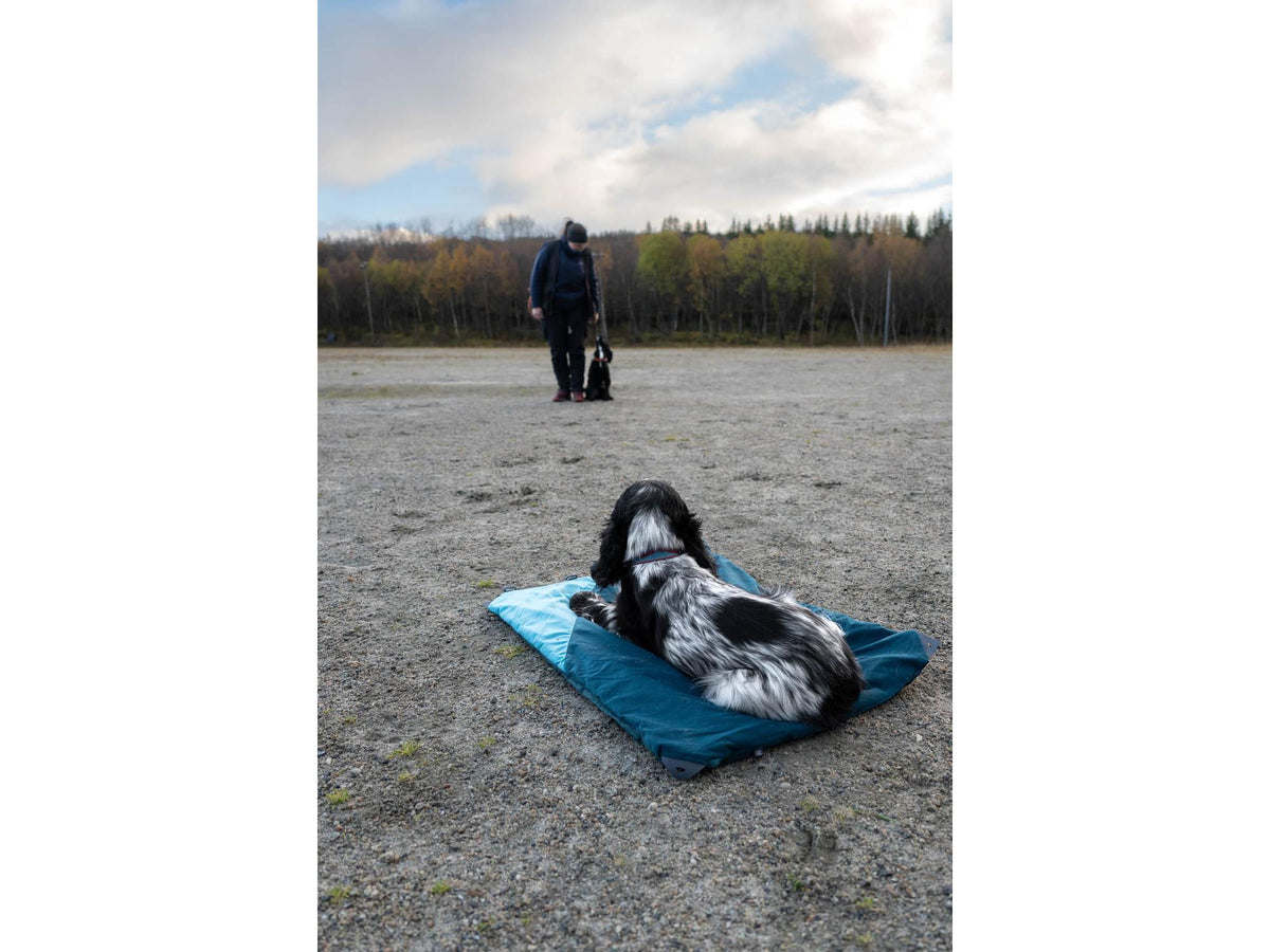Non-stop dogwear Trekking dog bed campingseng – Mørk teal