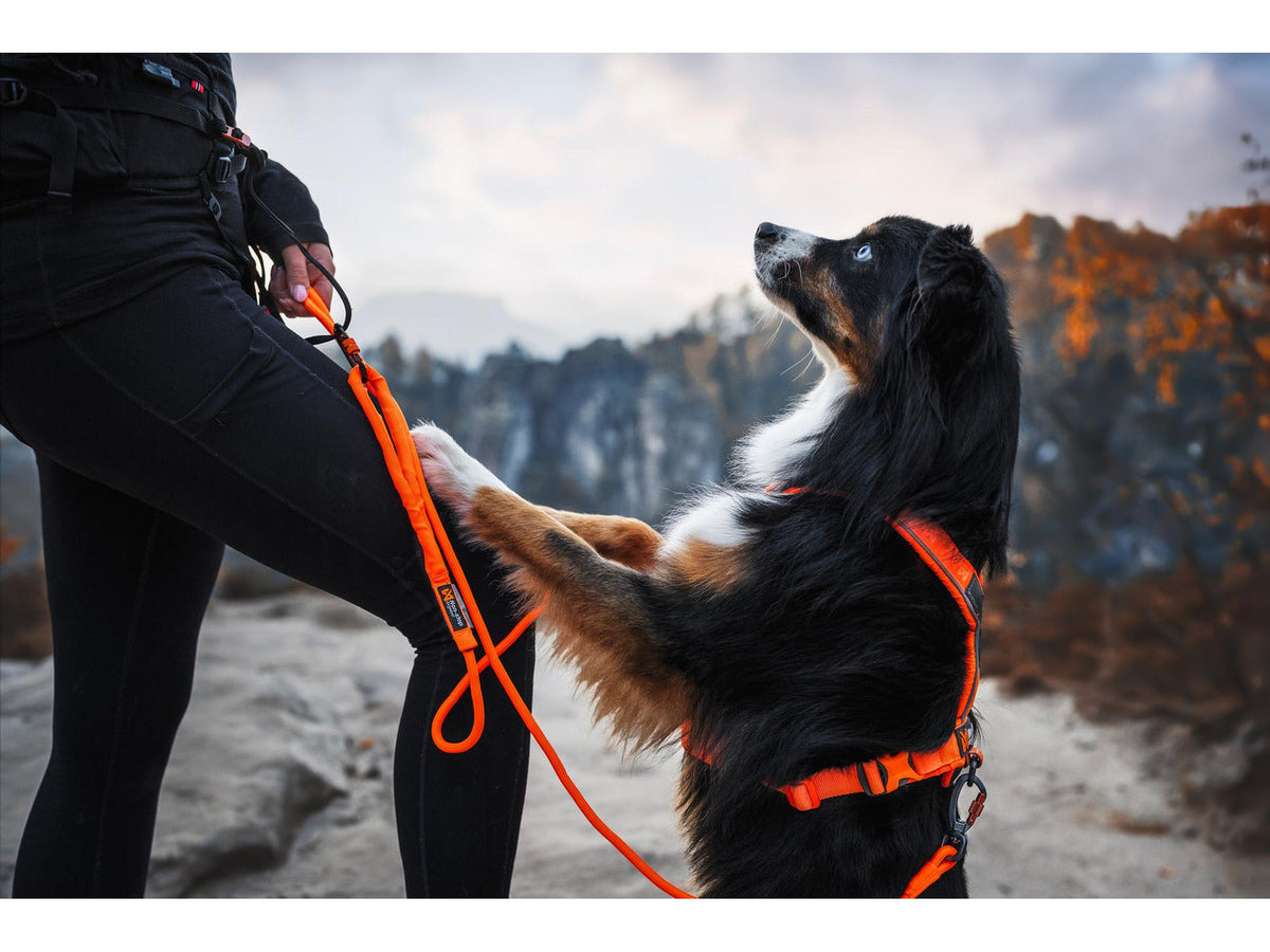 Non-stop dogwear Trekking rope leash tau-leiebånd – Oransje