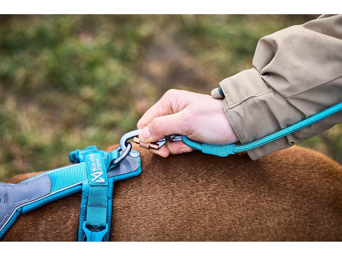 Non-stop dogwear Trekking rope leash tau-leiebånd – Oransje – modellen vist i annen farge