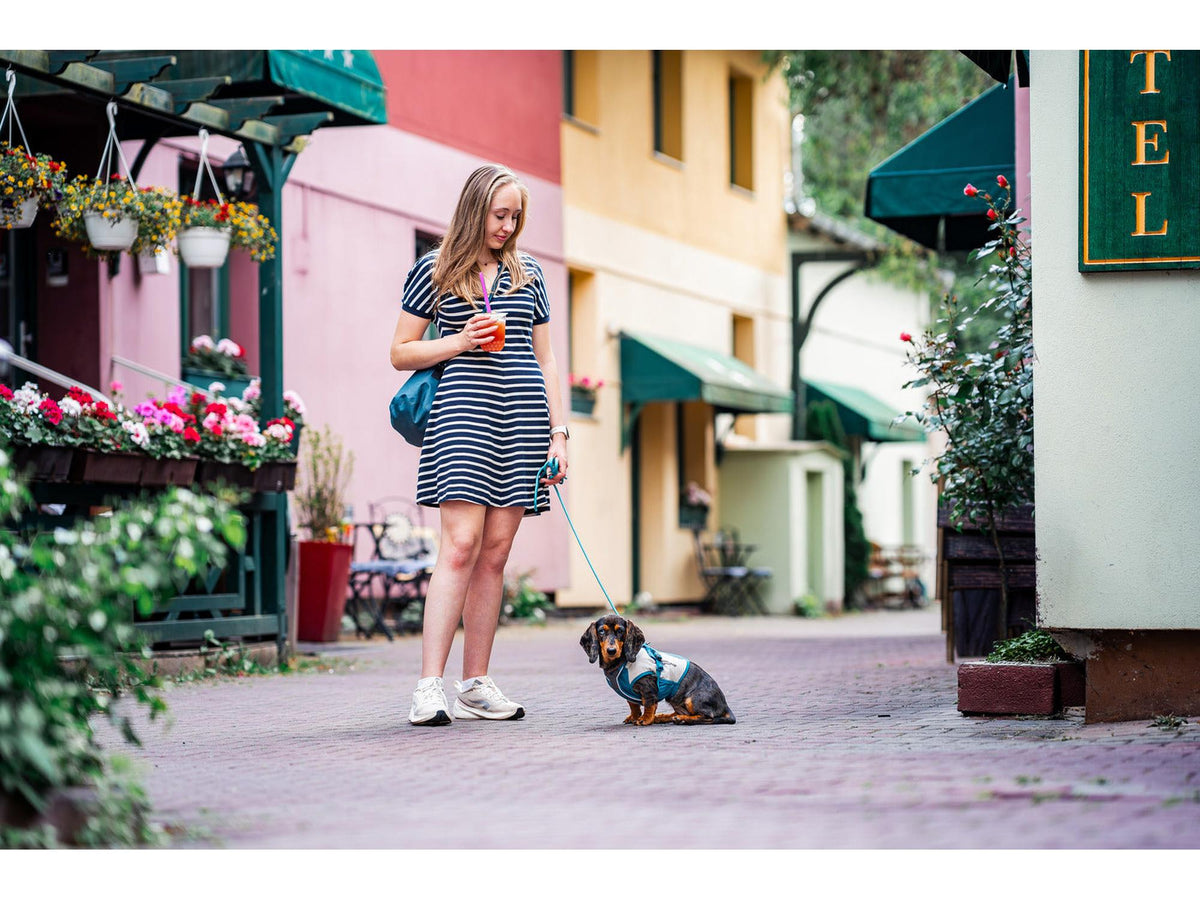 Non-stop dogwear Trekking rope leash tau-leiebånd – Teal