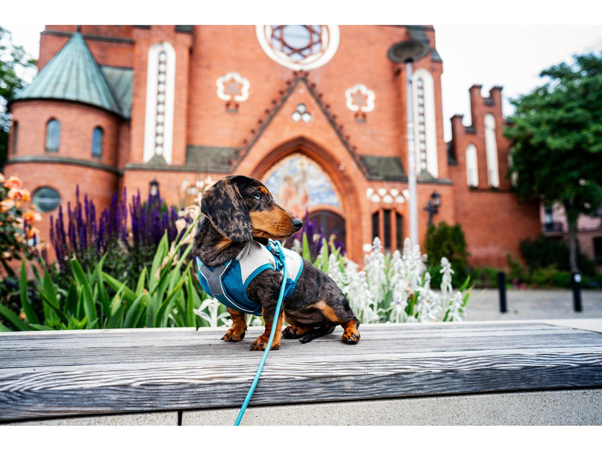 Non-stop dogwear Trekking rope leash tau-leiebånd – Teal
