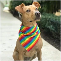 PRIDE PET BANDANA